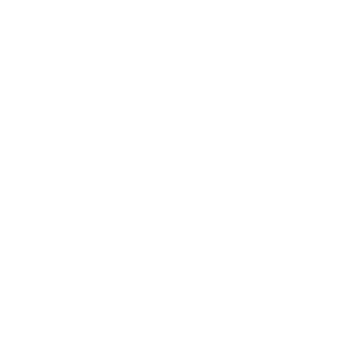 google maps icon